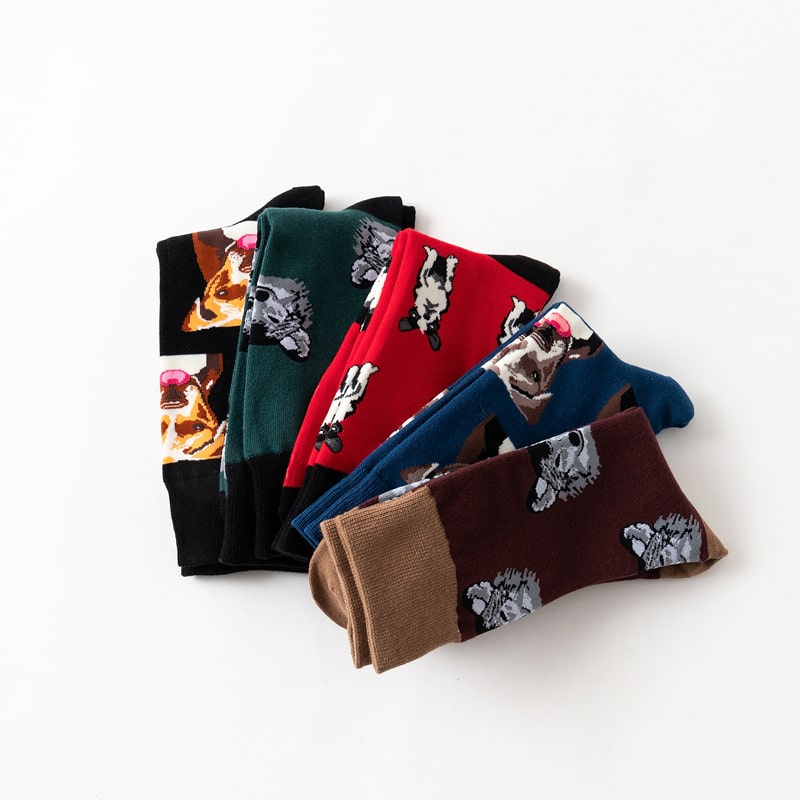 Chaussettes chien – Image 4
