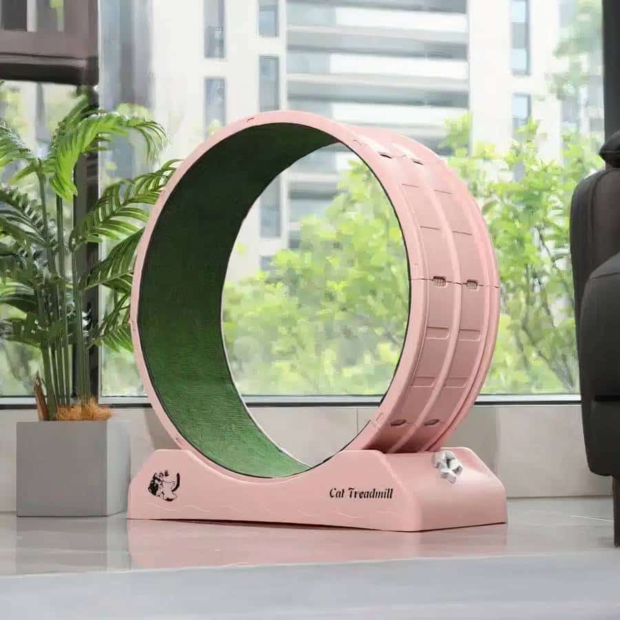 Roue pour chat en plastique – Image 4