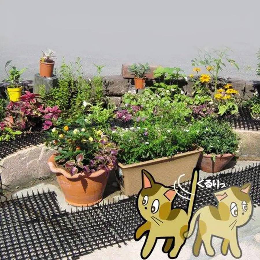 Bande piqueuse répulsive pour chat – Image 2