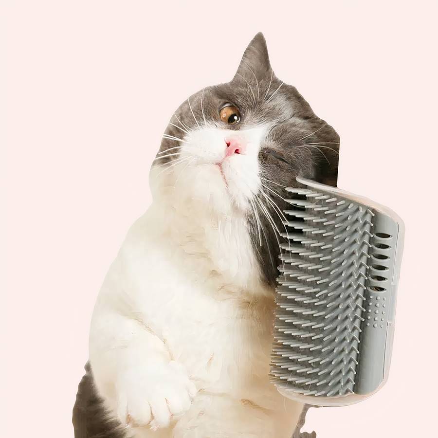 Brosse chat amovible couleur unie – Image 2