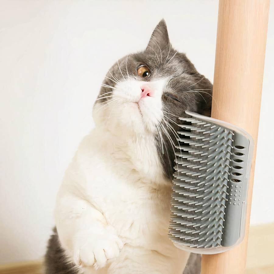 Brosse chat amovible couleur unie – Image 4