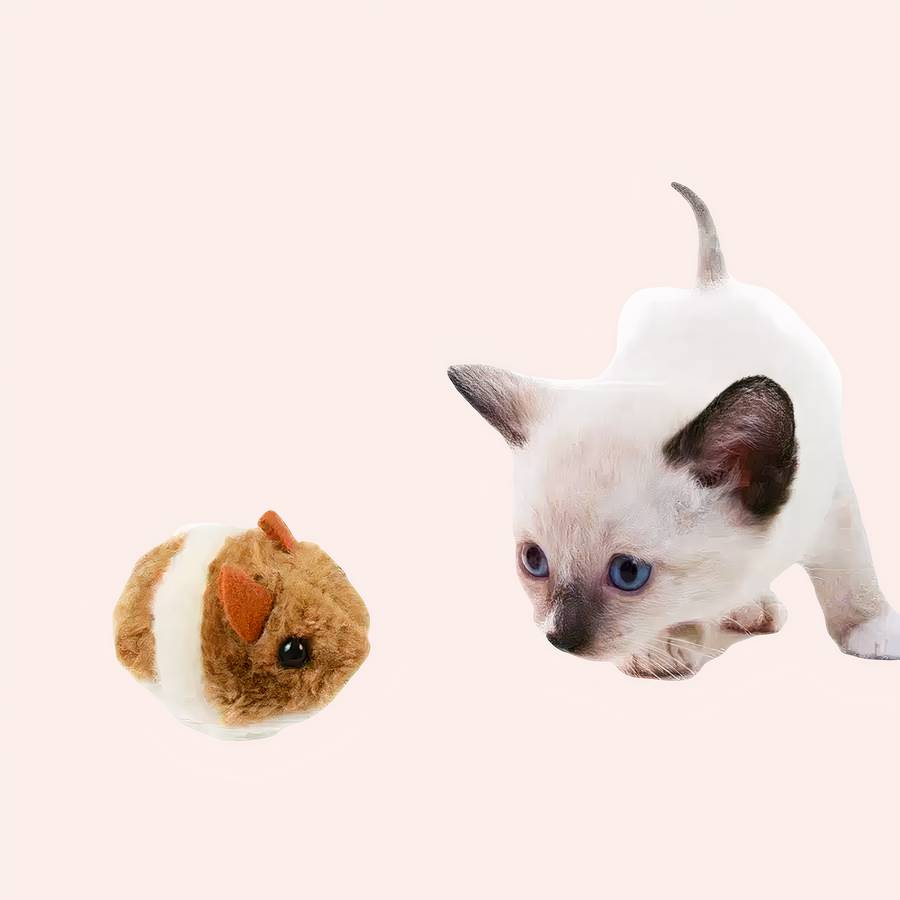 Jouet souris en peluche pour chat – Image 6